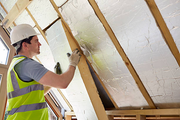 Best Home Insulation Services  in Rothsville, PA